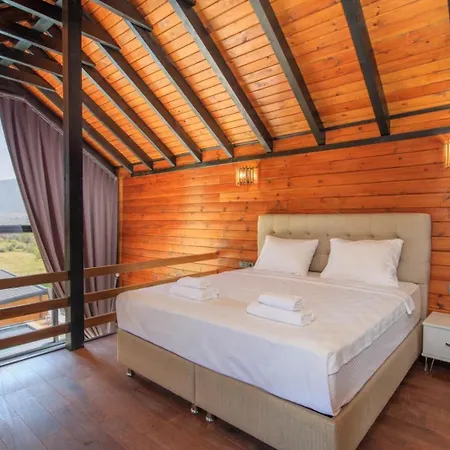 펜션 Sahincanaturelvillas 페티예